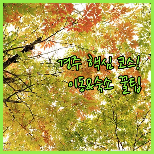 경주통일전 불국사 보문단지 코스 이동 방법과 근처 숙소 추천 후기