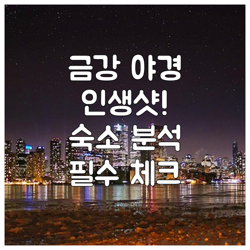 금강보행교 야경 인생샷 찍는 법과 세종시 호수공원 인근 숙박 시설 분석