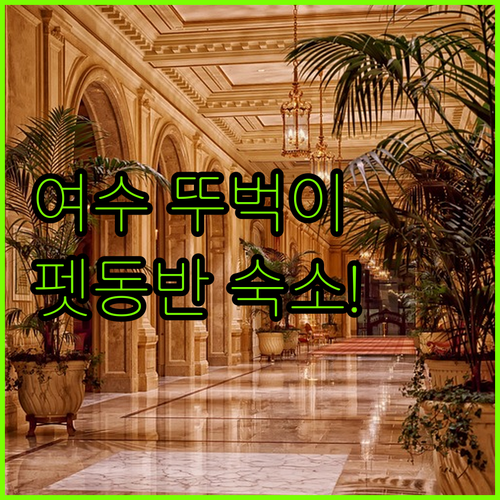 여수 뚜벅이 여행 숙소 추천 이순신광장 근처와 펫동반 호텔 정보