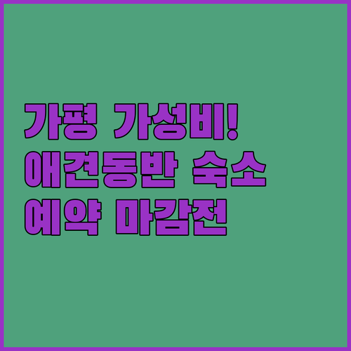 애견 동반 가능한 가평 호텔 그라체 포함 조종면 가성비 숙소 실시간 예약 정보