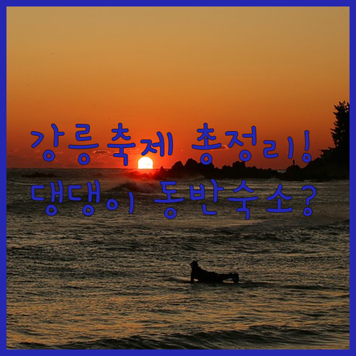 강릉 월별 축제 가이드와 반려견 동반 가능한 시내 숙소 분석