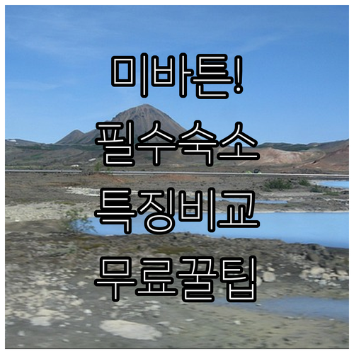 아이슬란드 미바튼 여행 필수 숙소 리스트 5선 위치별 특징과 무료 서비스 비교