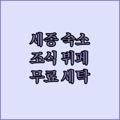 세종시 여행 숙박 정보 조식 뷔페 가능한 호텔과 무료 세탁 숙소 특징 사진 총정리