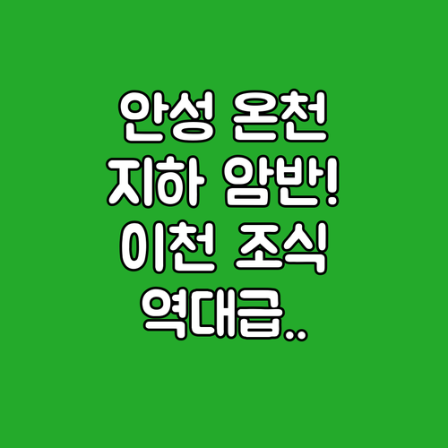 안성 호텔H 지하 암반 온천 스파와 이천 에덴파라다이스 호텔 조식 정보