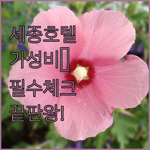 세종 호텔 추천 리스트 및 가성비 비즈니스 숙소별 상세 정보 분석