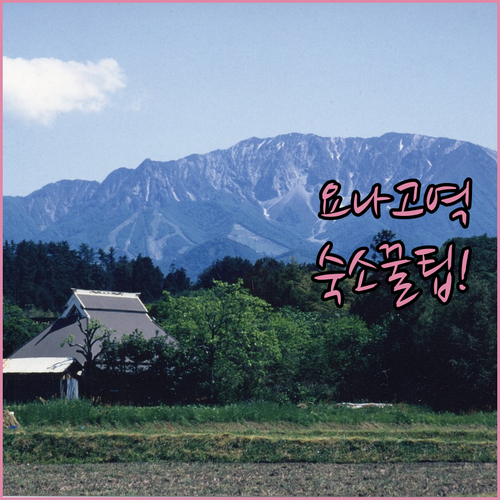 요나고 자유여행 역세권 숙소 5곳 실제 이용 팁과 솔직 후기