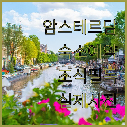 암스테르담 여행 숙소 예약 팁 조식 정보와 실제 사진 확인