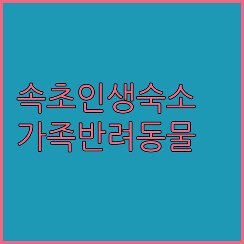실패 없는 속초 여행 숙소 선택 가이드 가족 여행객과 반려동물 동반 가능한 인기 호텔 5곳 예약 정보